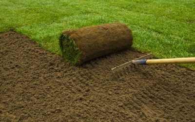How Topsoil Products Near Hustisford, WI, Can Transform Your Yard