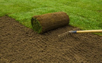 Transform Your Yard Using Premium Topsoil Products in Delafield, WI