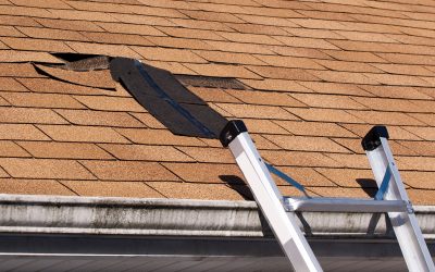 Common Roofing Issues Solved by a Commercial Roofer in Winter Haven, FL