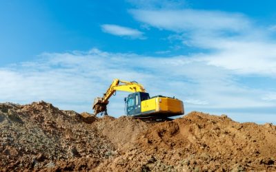 Forestry Mulching Statesboro GA: A Practical Guide for Choosing the Right Service