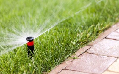 Sprinkler Installation for Properties With Separate Lawn and Planting Zones