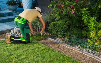 How Should Walkways Connect Different Backyard Activity Areas?